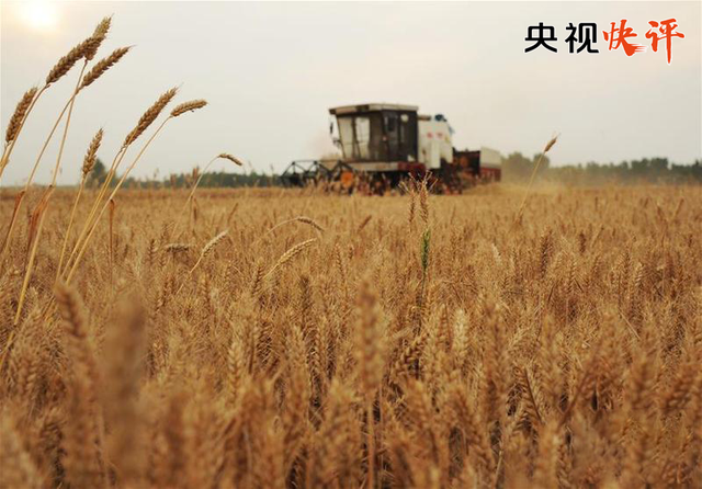 胡文臻接受记者访谈：不拘小节？微小节约×14亿竟然……