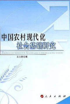 中国农村现代化社会基础研究
