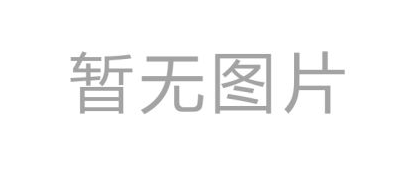 特约专家：孙伟平